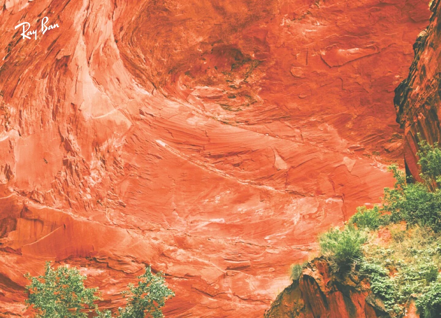 Prescription Lenses for Eyeglasses & Sunglasses LensCrafters