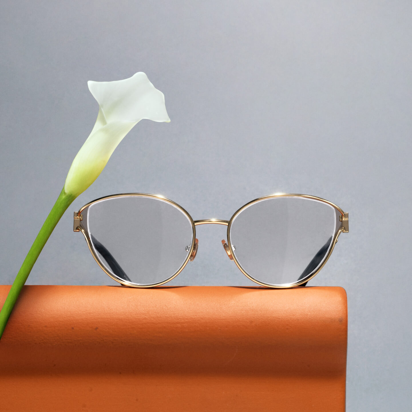 LensCrafters® Prescription Eyewear & Contact Lenses Sophisticated