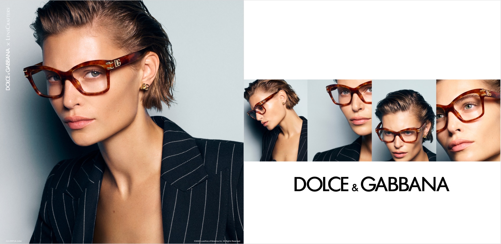 D&G image