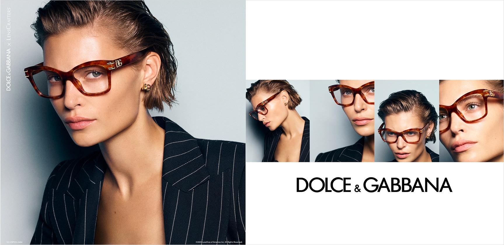 D&G image