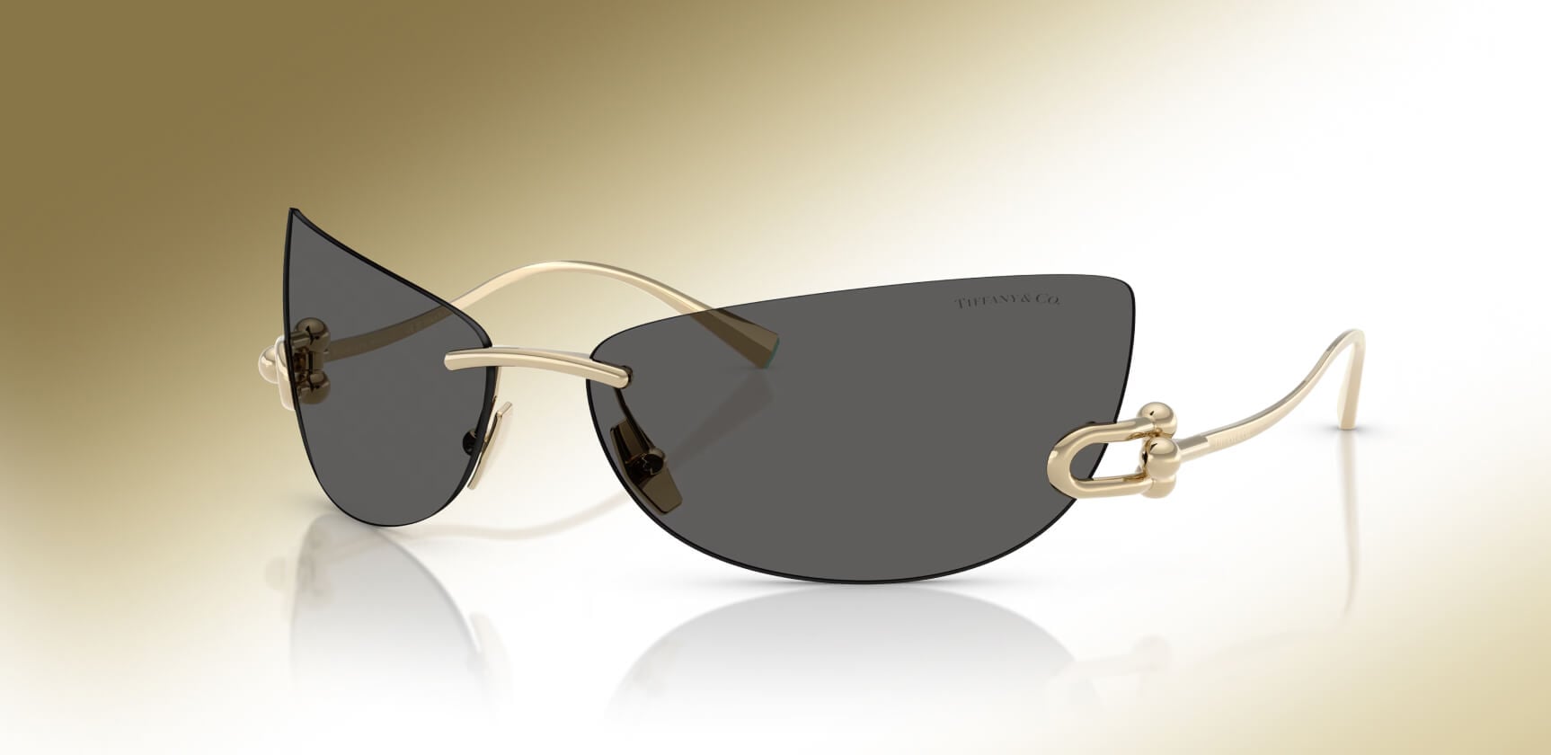 RayBan Meta AI image