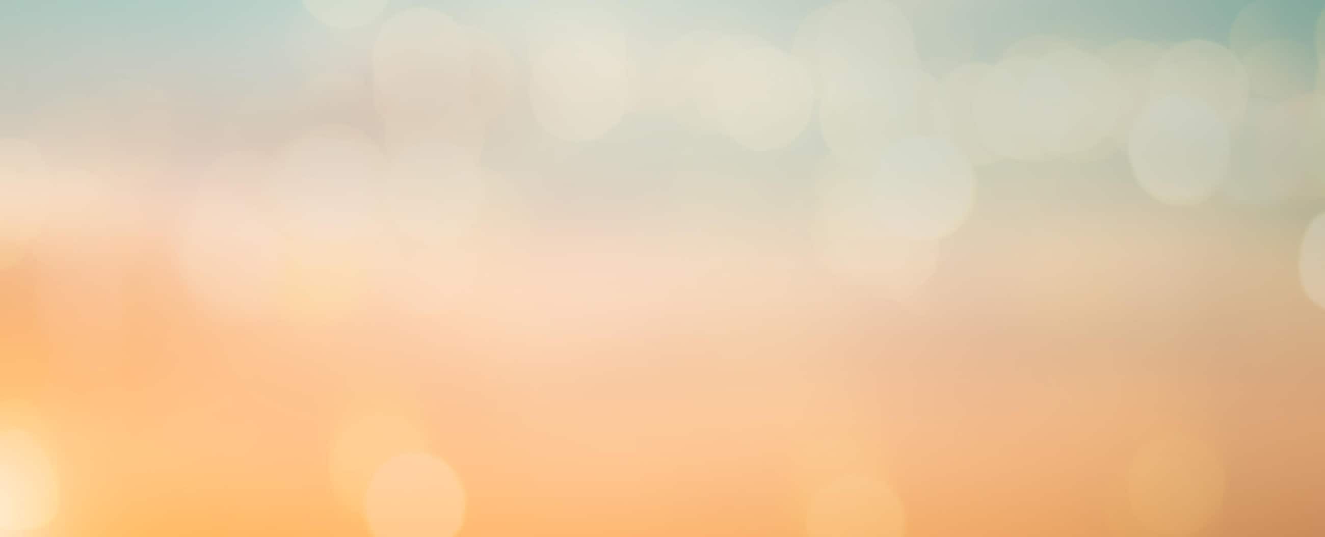 HP hero banner image