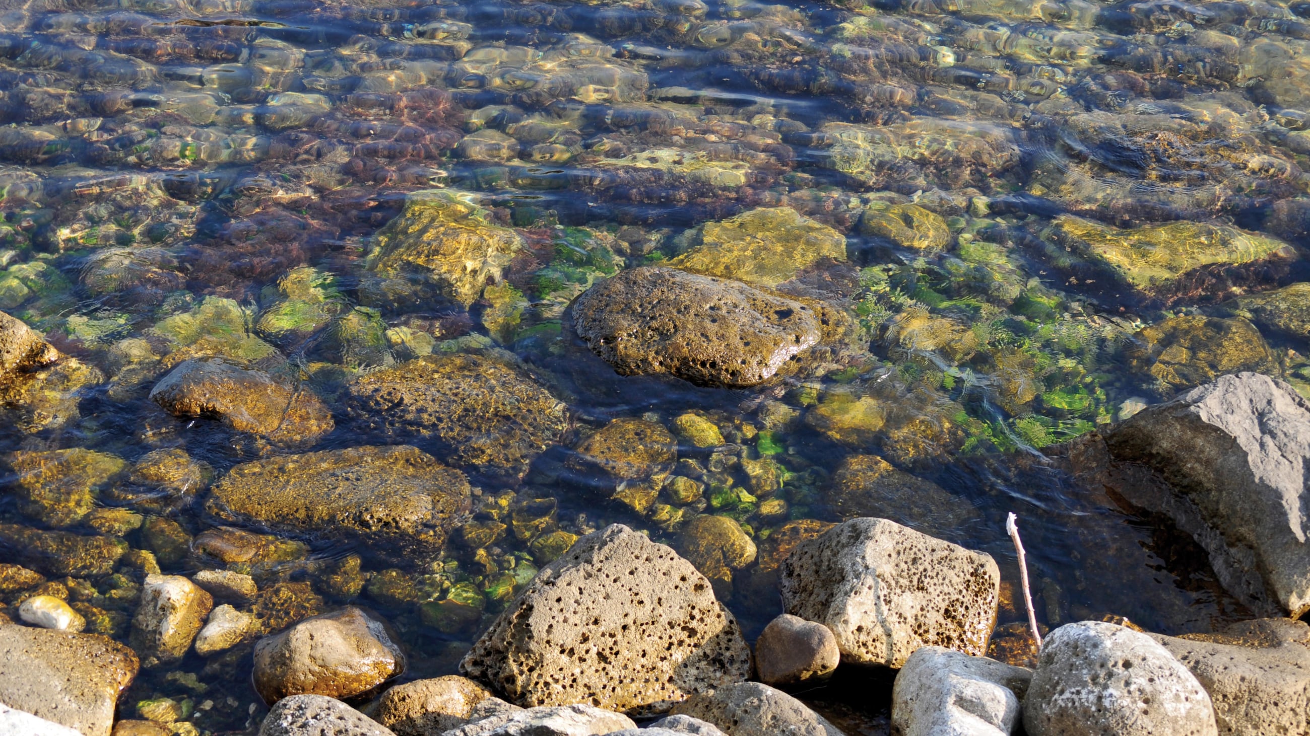 Tecnhology banner on