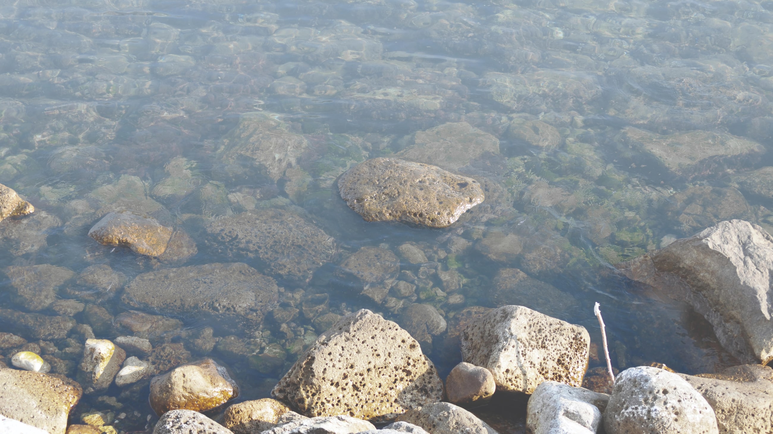 Tecnhology banner off