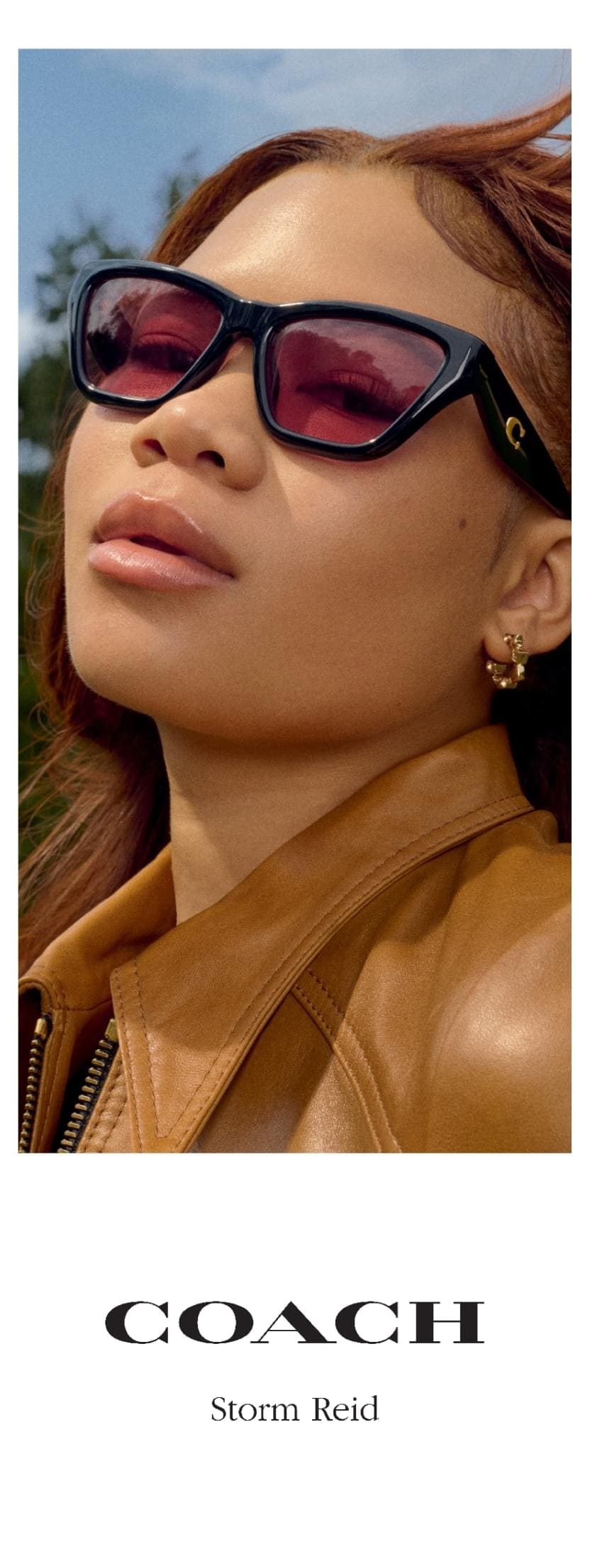 Coach vertical banner image