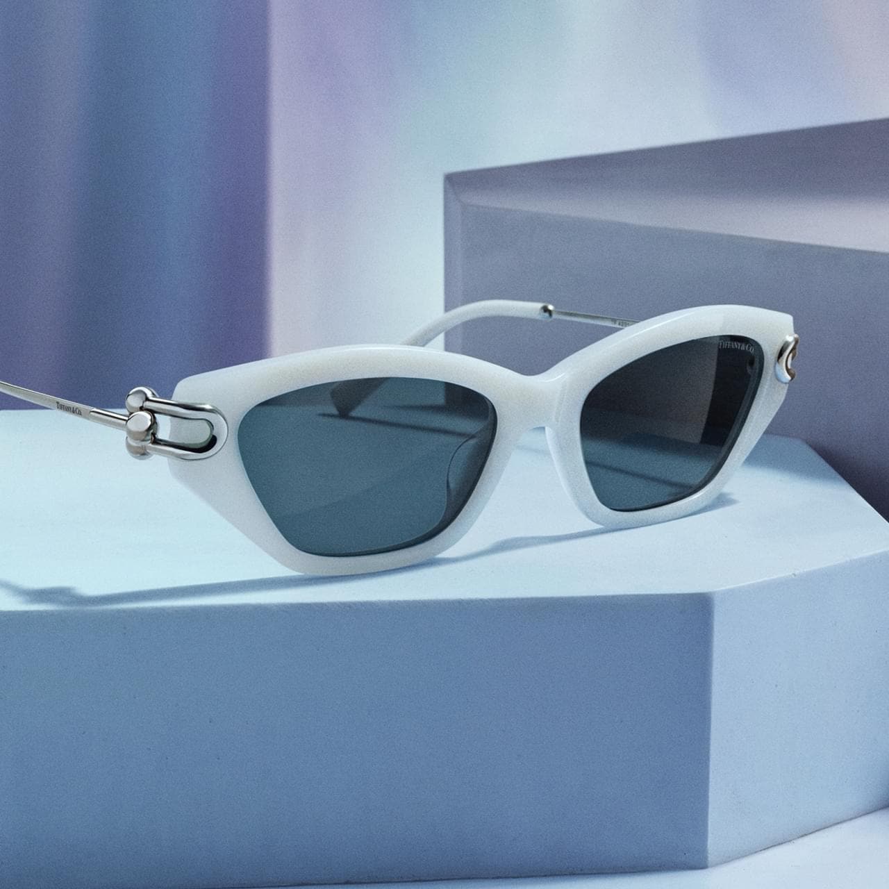 Sunglasses trends image