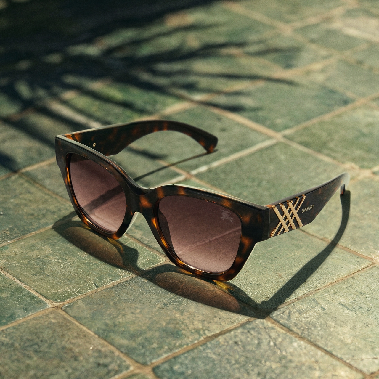 Sunglasses trends image