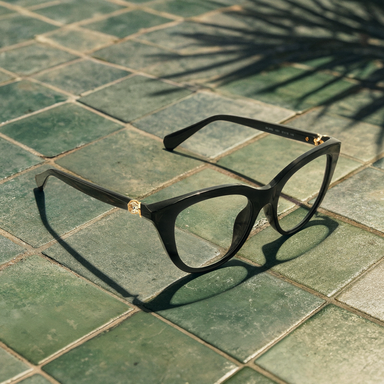Eyeglasses trends image