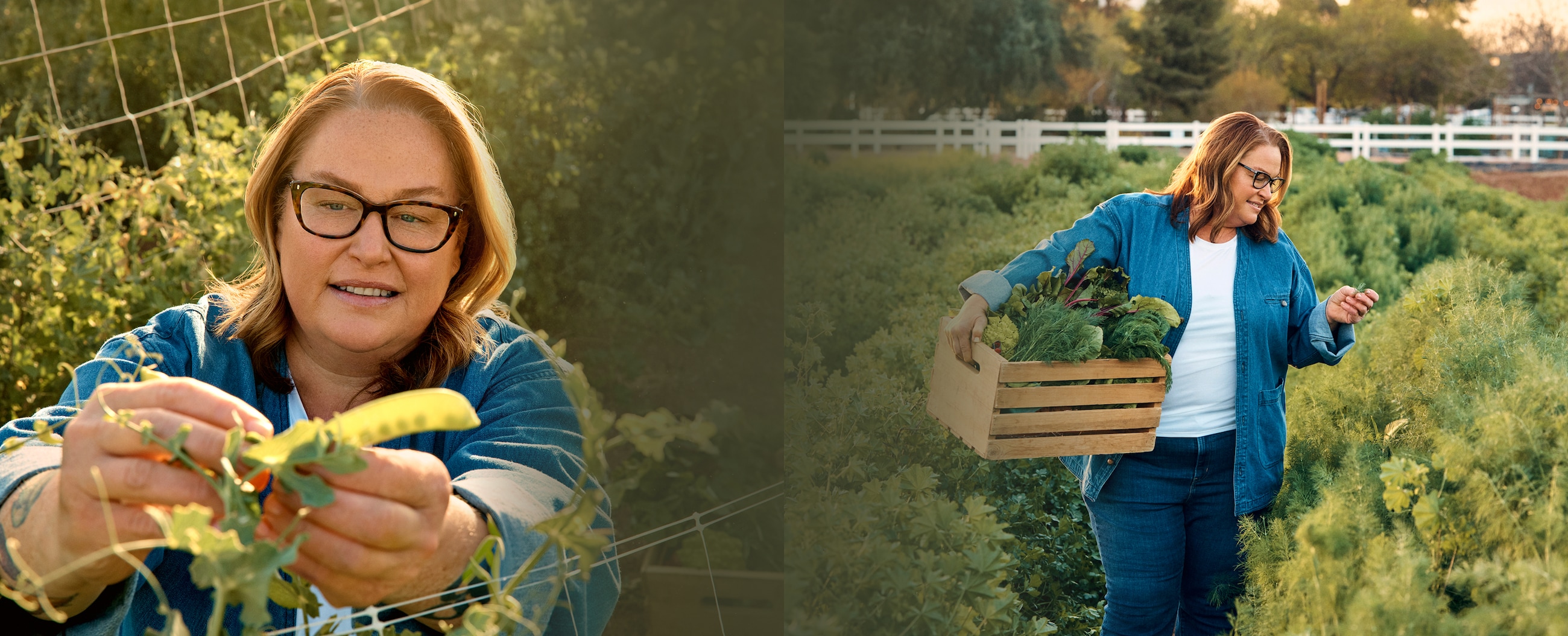 HP hero banner image